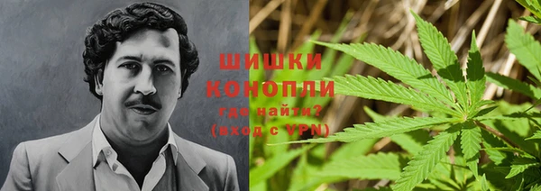 мдпв Покачи