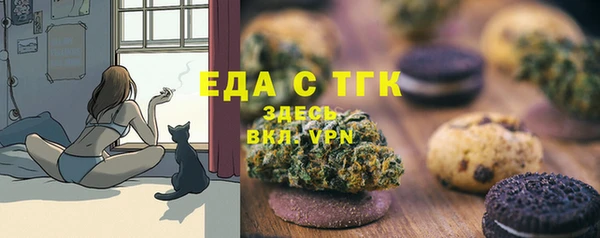 крисы Абаза