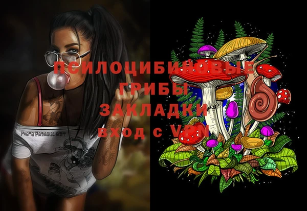 крисы Алексин
