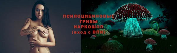 крисы Абаза