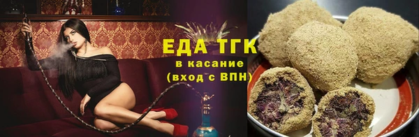 крисы Абаза