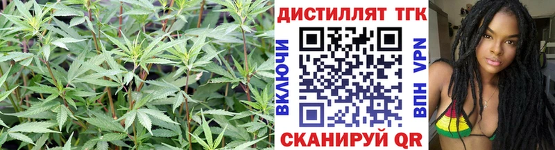 где продают наркотики  ОМГ ОМГ tor  ТГК жижа  Галич 