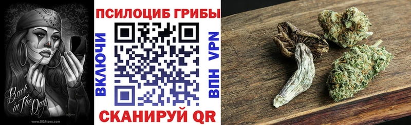 OMG   Галич  shop формула  Псилоцибиновые грибы мицелий 